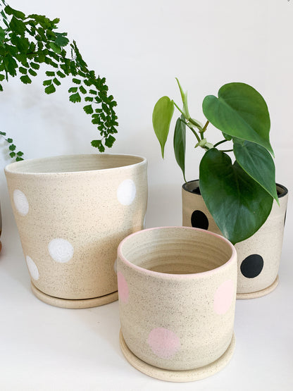 Dotty Planter