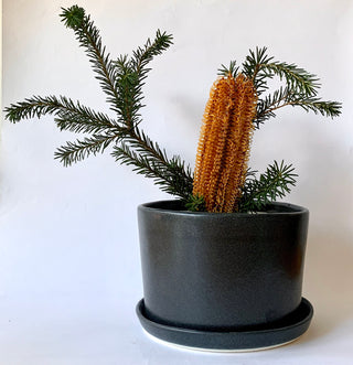 Black Planter