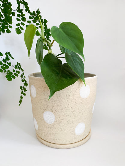 Dotty Planter