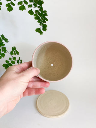 Dotty Planter