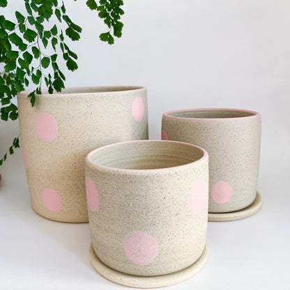 Dotty Planter