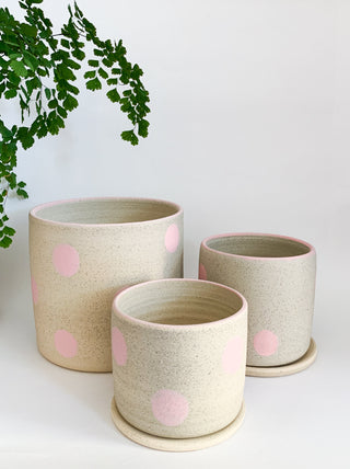 Dotty Planter