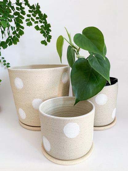 Dotty Planter