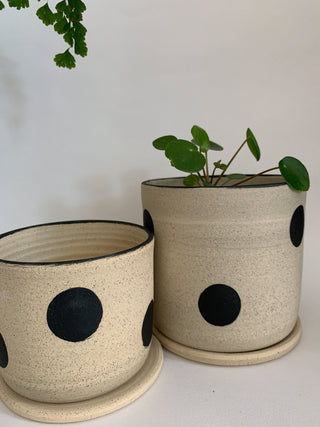 Dotty Planter