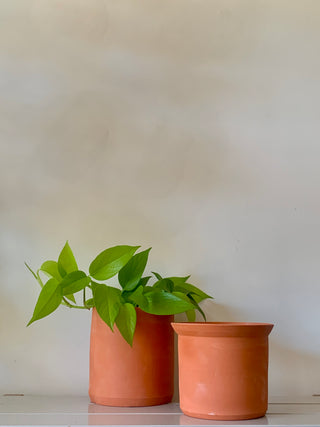 Terra Cotta Planter