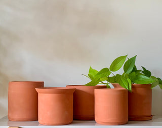 Terra Cotta Planter